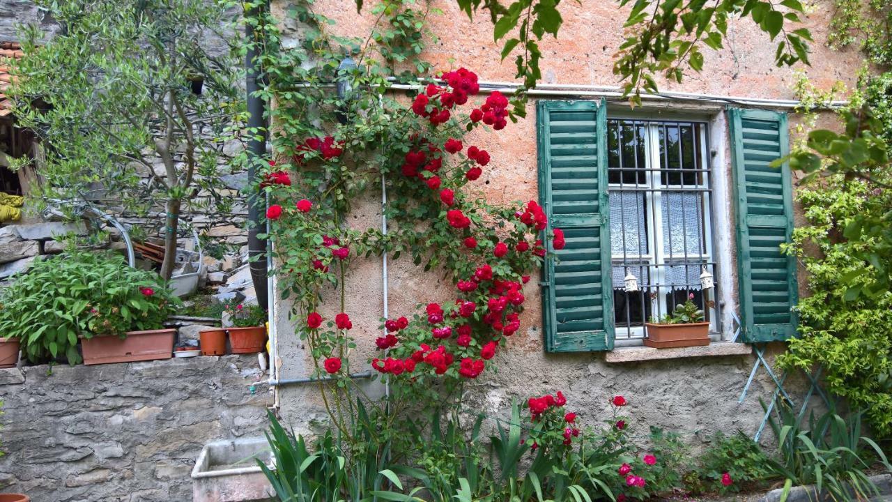 B&B "A Casa Di Camilla" Carate Urio Extérieur photo